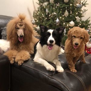 Meet your Posher, Heather